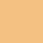 Savage Widetone Seamless Background Paper (26" x 12yd, #55 Autumn)