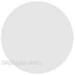 Smith-Victor 725SG Safety Glass for 720-SG Light
