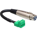 Hosa Technology PNX 106FB Phoenix Connector Adapter Cable