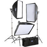 Savage Variable Power 3 Quartz Light Kit (120VAC)