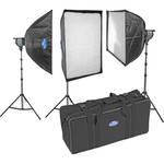 Savage Variable Power 3 Flood Light Kit