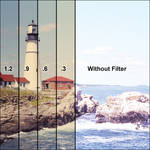 Tiffen Filter Wheel 1 Combination Color Conversion 85 /Neutral Density 0.6 Glass Filter