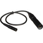 AKG MPAVL - Mini-XLR to Standard XLR Microphone Cable