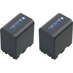 Sony NP-QM91D M Series Info-Lithium Battery 2 Pack (7.2v, 4140mAh)