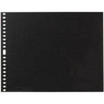Pina Zangaro Polyester Sheet Protectors (3-Hole, 8.5 x 11", 10 Sheets)