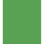 Interfit 10.4 x 16' Master's Muslin Background - Chroma-Key Green