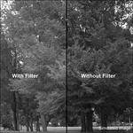 Kodak 4 x12" #58 Green Wratten 2 Optical Gel Filter for Black & White Film