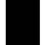 Itoya BP-11-14  Black Refill Paper (11 x 14", 24 Sheets)