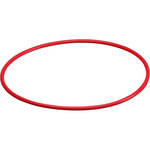 Olympus POL-037B O-Ring for PT-037 (Rear Lid)