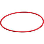 Olympus POL-E03A O-Ring for PT-E03 (Front Lid)