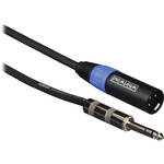 Whirlwind TRS 1/4" Male to XLR Male Cable - 10'