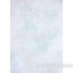 Studio Dynamics 10 x 15' Muslin Background (Pastel)