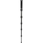 Giottos MM 8660 Carbon Fiber Monopod