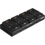 Dolgin Engineering TC-40-PAN 4-Position Battery Charger for Panasonic DVX-100, HVX200 & HPX170