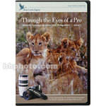 Blue Crane Digital DVD: Through the Eyes of a Pro - with Canon DSLR's Vol 2