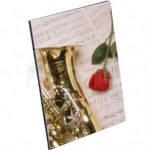 Savage Self-Adhesive Easel Back Mount Boards (6 Pack)