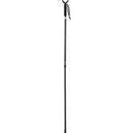 Stoney Point Expedition Monopod