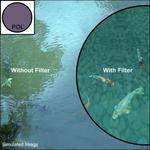 Cokin 37mm Circular Polarizer Digital Pack (Silver Ring)