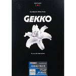 Pictorico Gekko Blue Paper (285gsm)  for Inkjet - 13 x 19" (Super-B) - 20 Sheets
