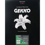 Pictorico Gekko Green Paper (330gsm) for Inkjet - 8.5x11" (Letter) - 10 Sheets