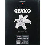 Pictorico Gekko Black Paper (300gsm) for Inkjet - 8.5 x 11" (Letter) - 20 Sheets