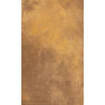 Savage Canvas Infinity Hand Painted  Background - 9 x 10' (Autumn)
