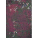 Backdrop Alley Hand Painted Muslin Backdrop (10 x 24', Holiday)