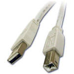 C2G 6.6' (2 m)  USB 2.0 A/B Cable (White)