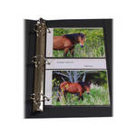 Archival Methods 4x6 Sonic Page (Pack of 25)