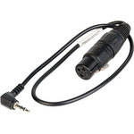 Remote Audio CAX3F1/8MM Mono Mini Male to 3-Pin XLR Female Cable (18")
