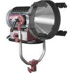 Mole-Richardson 2K Tungsten PAR Fixture