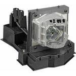 InFocus SP-LAMP-041 Projector Replacement Lamp for the IN3102 anIN3106 DLP Projectors