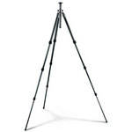 Gitzo GT1541 Mountaineer 6X Carbon Fiber Tripod Legs - Supports 17.6 lbs (8kg)