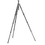 Gitzo GT2942 Basalt Tripod Legs - Supports 22 lbs (10kg)
