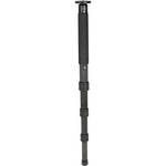 Gitzo GM5541 6X Carbon Fiber Monopod - Supports 55 lbs (25kg)