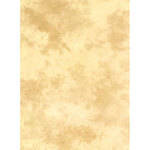 Lastolite Knitted Background - 10x24' (Arizona)