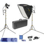 Lowel Rifa eX 55 Pro, TO-83 Hard Case Kit 