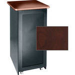 Middle Atlantic S24D-DC Single Bay Rack with Doors