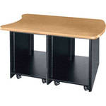 Middle Atlantic D12-HM Dual Bay Rack 