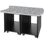 Middle Atlantic D12-PS Dual Bay Rack 