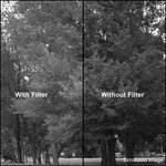 Kodak 4x12" (100 x 305mm) #61 Deep Green Wratten 2 Gel Filter