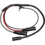 PSC Breakaway Snake Camera End with XLR Connectors and Headphone Return (2') 