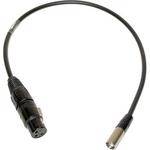 PSC Breakaway Snake Camera End with XLR Connectors & Right Angled Headphone (2') 