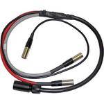 PSC Breakaway Snake Camera End with TA5M Connectors (2') 