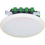 OWI Inc. AMP4IC6 25W Four Source 6.5" Coaxial Ceiling Speaker