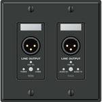 Rane RAD 4 2 Gang Wall Plate with 2 Line Outputs (Black)