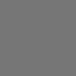 Rosco E-Colour #296 .4 Neutral Density (21x24" Sheet)