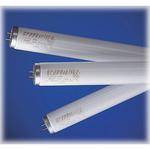 GTI L3025/65 Fluorescent Replacement Lamp Kit (8 Lamps)