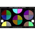 DSC Labs Wringer Maxi CamAlign Chip Chart