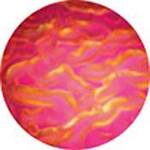 Rosco Colorwave Effects Color Glass Gobo - #33103 - Magenta Ripple (86mm = 3.4")
